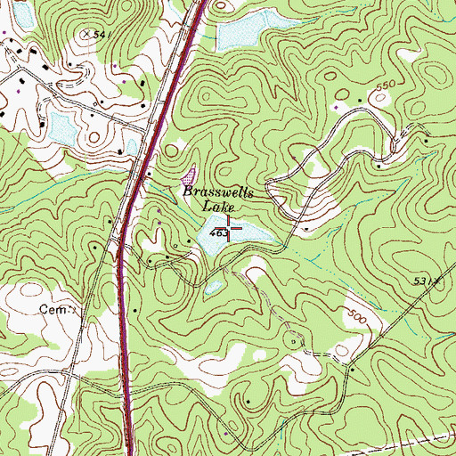 Topographic Map of Brasswells Lake, GA