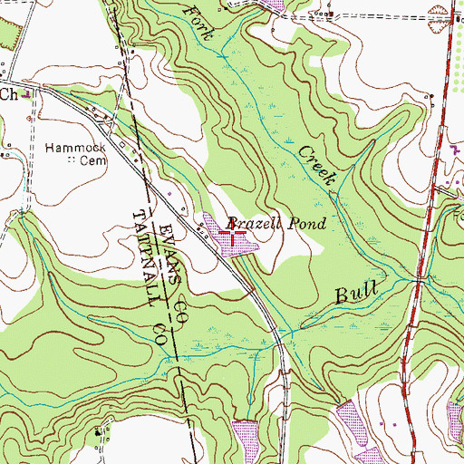 Topographic Map of Brazell Pond, GA