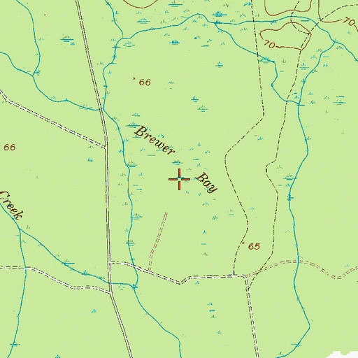 Topographic Map of Brewert Bay, GA