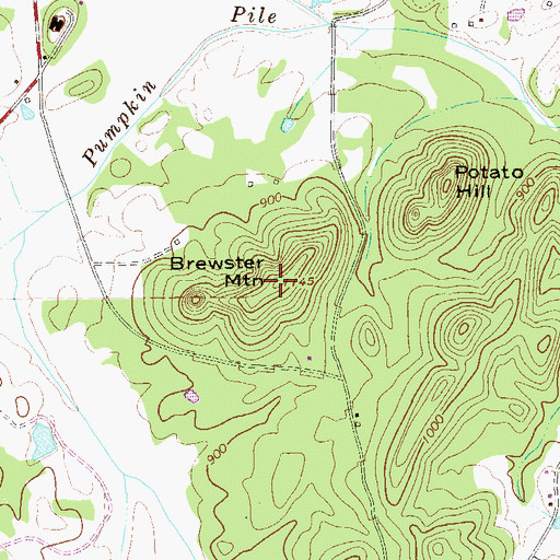 Topographic Map of Brewster Mountain, GA