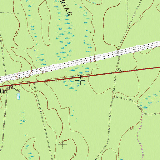 Topographic Map of Briar Bay, GA