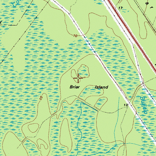 Topographic Map of Briar Island, GA