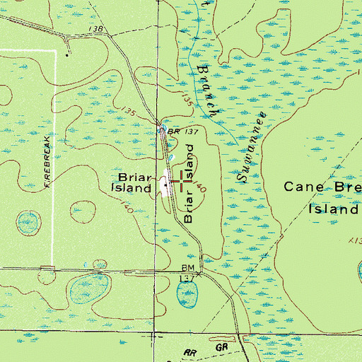 Topographic Map of Briar Island, GA