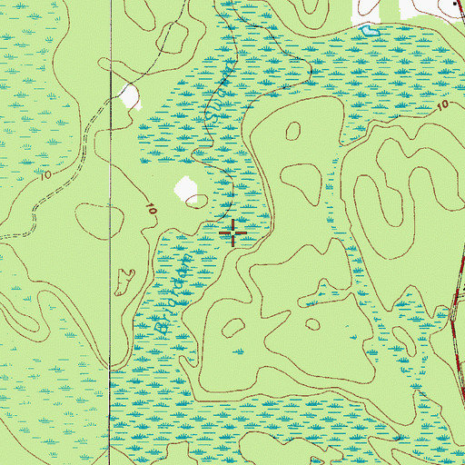 Topographic Map of Briardam Swamp, GA