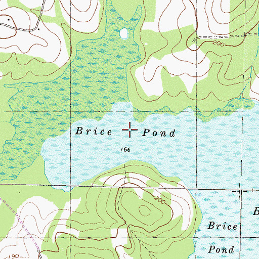 Topographic Map of Brice Pond, GA