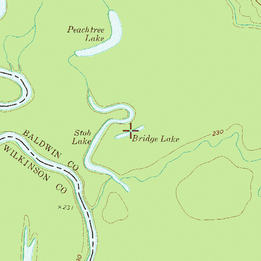 Topographic Map of Bridge Lake, GA