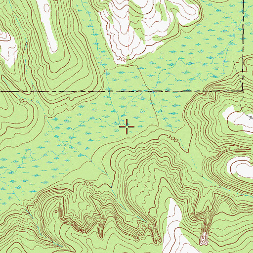 Topographic Map of Brier Creek, GA