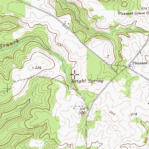 Topographic Map of Bright Spring, GA