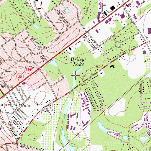 Topographic Map of Brileys Lake, GA