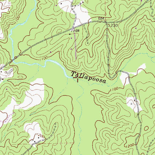 Topographic Map of Brooks Creek, GA