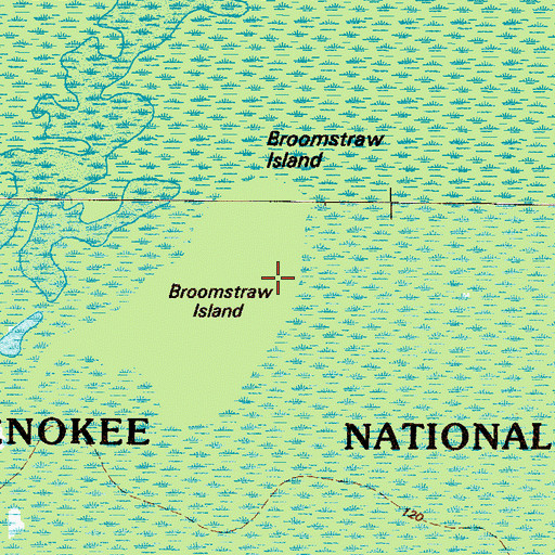 Topographic Map of Broomstraw Island, GA