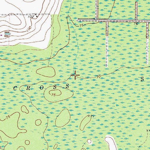 Topographic Map of Brown Branch, GA