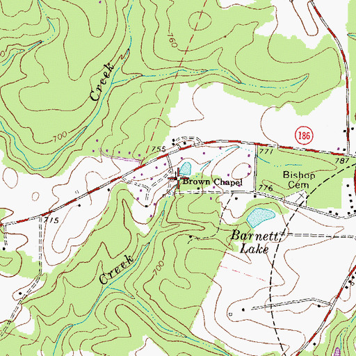 Topographic Map of Brown Chapel, GA