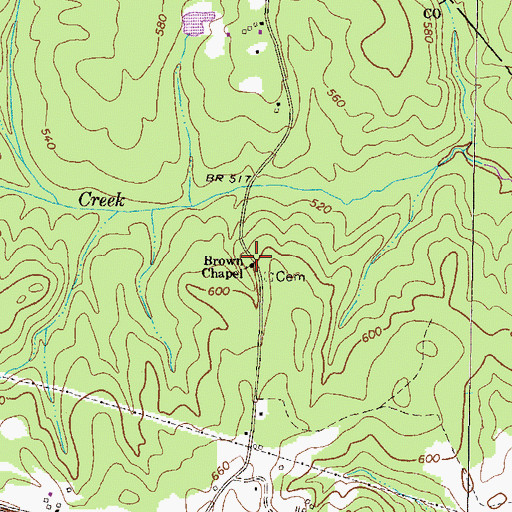 Topographic Map of Brown Chapel, GA