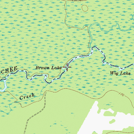 Topographic Map of Brown Lake, GA