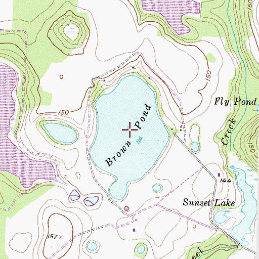 Topographic Map of Brown Pond, GA