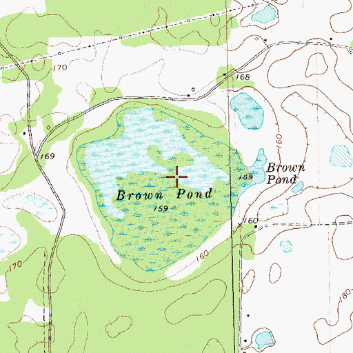 Topographic Map of Brown Pond, GA