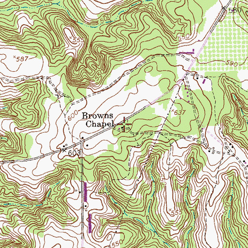 Topographic Map of Browns Chapel, GA