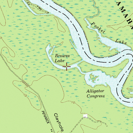 Topographic Map of Browns Lake, GA