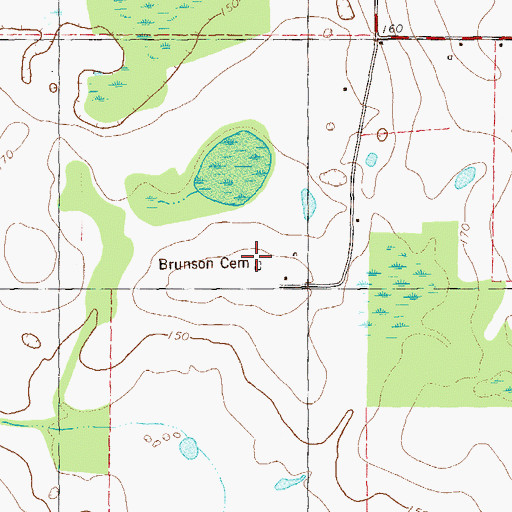 Topographic Map of Brunson Cemetery, GA