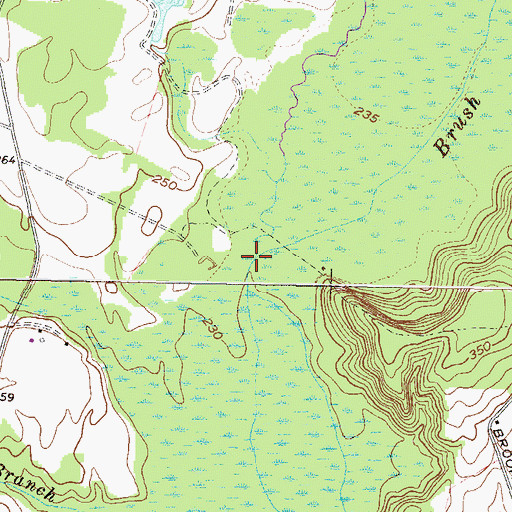 Topographic Map of Brush Creek, GA