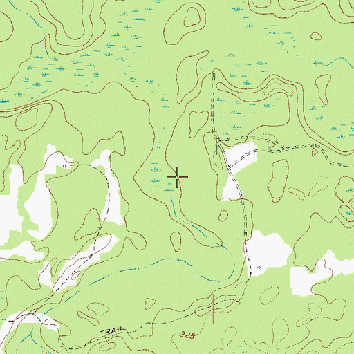 Topographic Map of Brushy Creek, GA