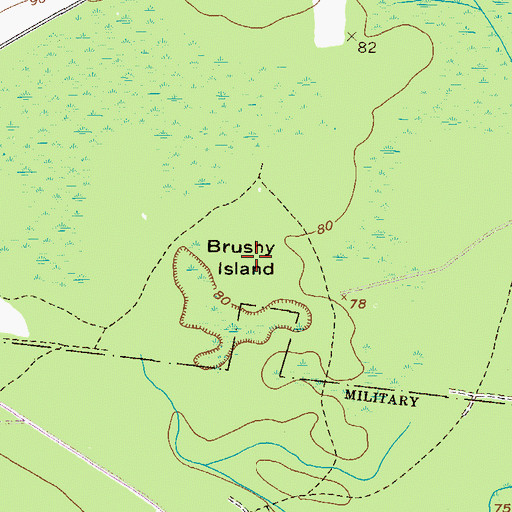 Topographic Map of Brushy Island, GA