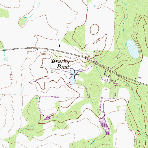 Topographic Map of Brushy Pond, GA