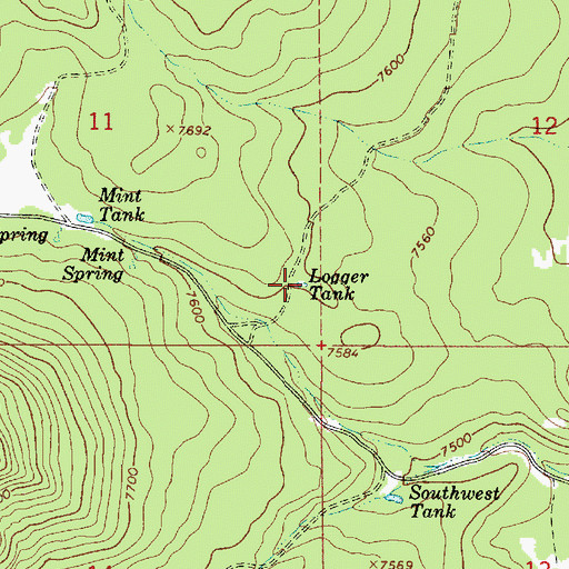 Topographic Map of Logger Tank, AZ