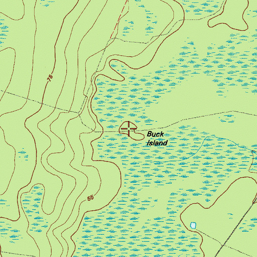 Topographic Map of Buck Island, GA