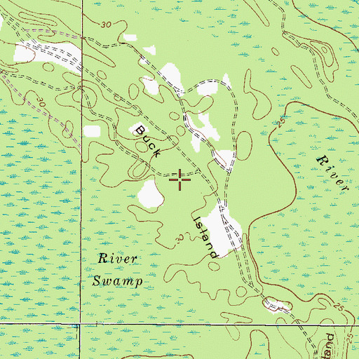 Topographic Map of Buck Island, GA