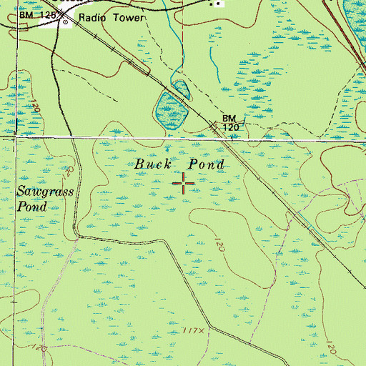 Topographic Map of Buck Pond, GA