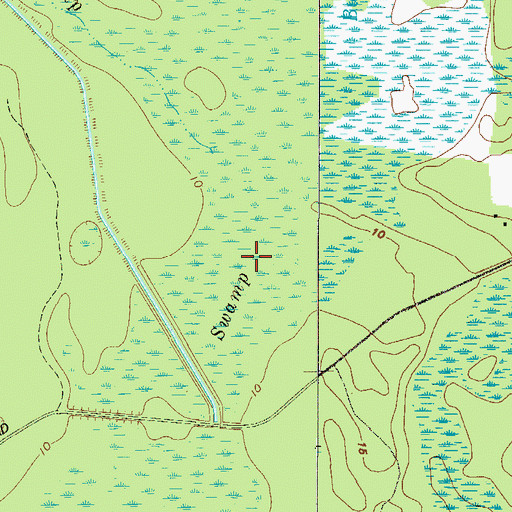 Topographic Map of Buffalo Swamp, GA