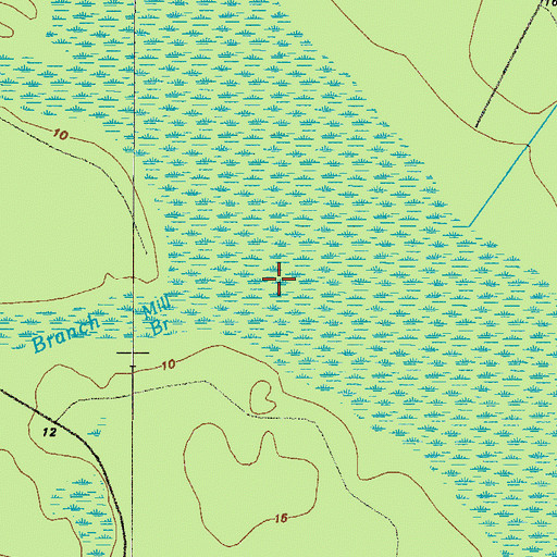Topographic Map of Buffalo Swamp, GA