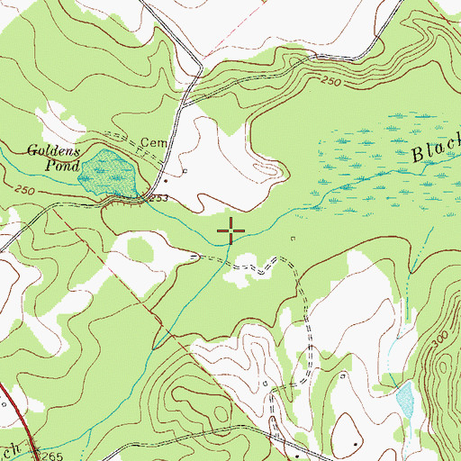 Topographic Map of Bull Branch, GA