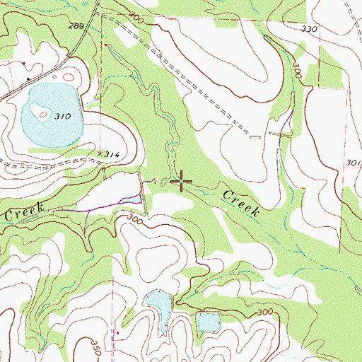 Topographic Map of Bull Creek, GA