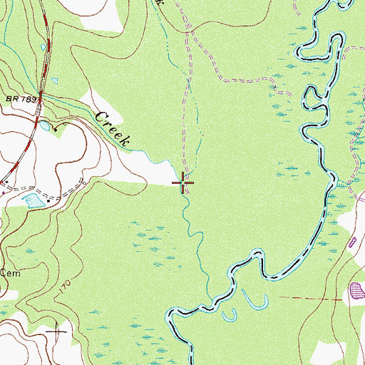 Topographic Map of Bull Creek, GA