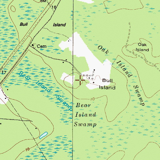 Topographic Map of Bull Island, GA