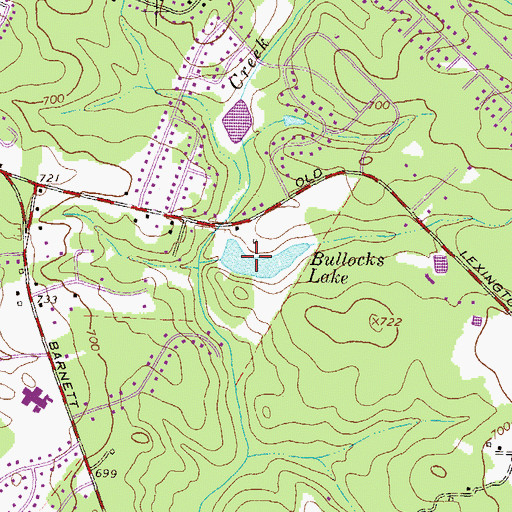 Topographic Map of Bullocks Lake, GA