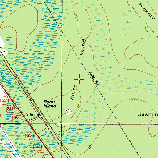 Topographic Map of Burnt Island, GA