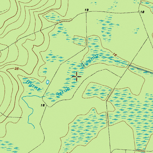 Topographic Map of Burnt Scrub Swamp, GA