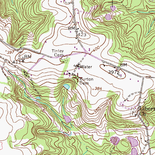 Topographic Map of Burton Cemetery, GA
