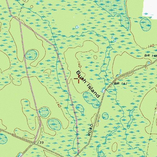 Topographic Map of Bush Island, GA