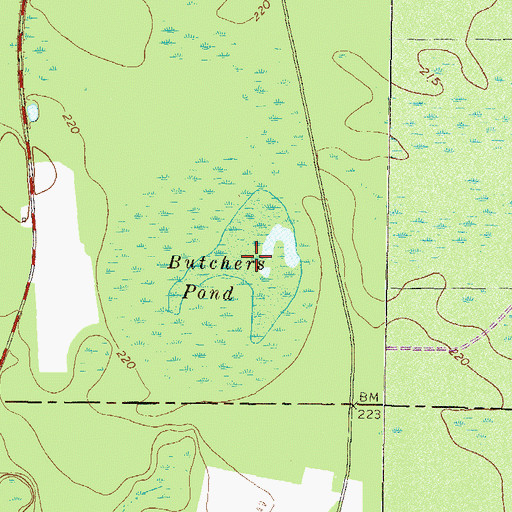 Topographic Map of Butchers Pond, GA