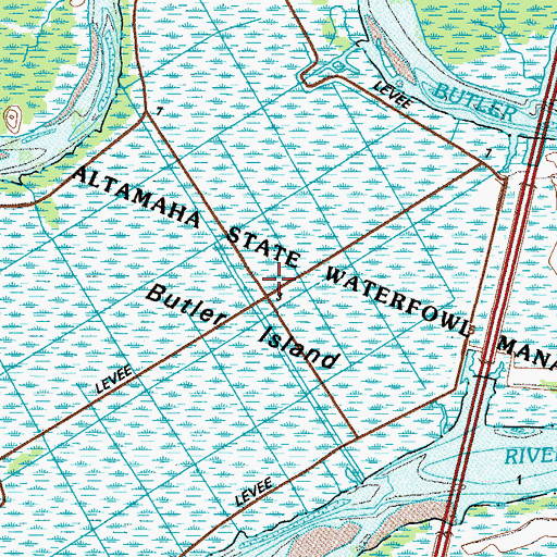 Topographic Map of Butler Island, GA