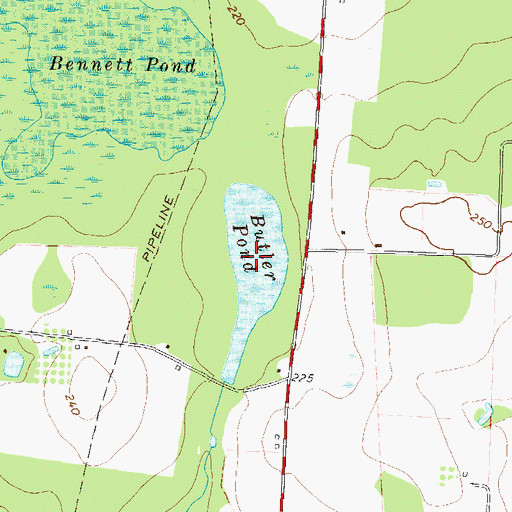 Topographic Map of Butler Pond, GA