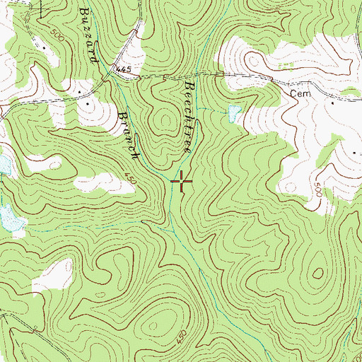 Topographic Map of Buzzard Branch, GA