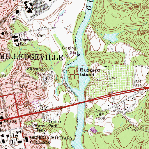 Topographic Map of Buzzard Island, GA
