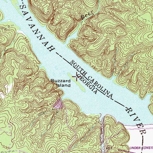 Topographic Map of Buzzard Island (historical), GA