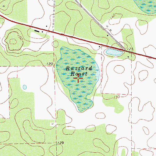 Topographic Map of Buzzard Roost, GA